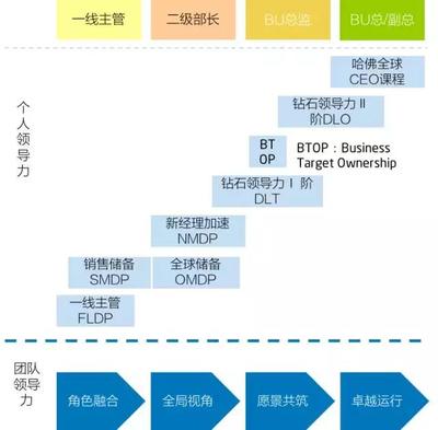 數字化轉型顛覆企業管理,領導力發展如何破而后立?