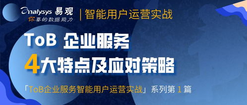 tob企業(yè)服務(wù)的典型特點(diǎn)及應(yīng)對(duì)策略 免費(fèi)下載