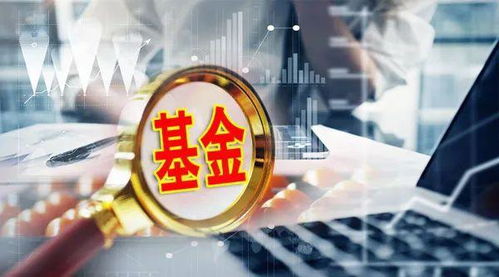 基金管理人能否開展財務顧問服務
