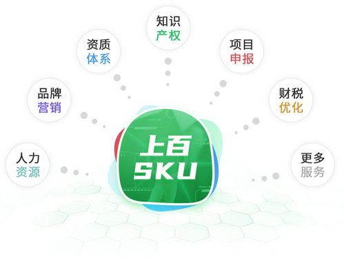 同行樹 專業把脈數字化轉型,打造企業高效經營快車道
